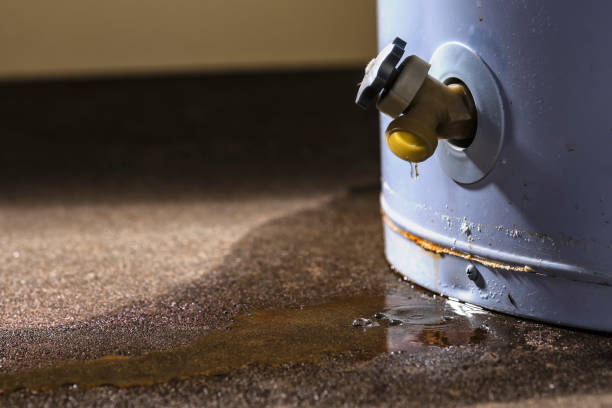 Best 24/7 water damage repair  in Violet, LA