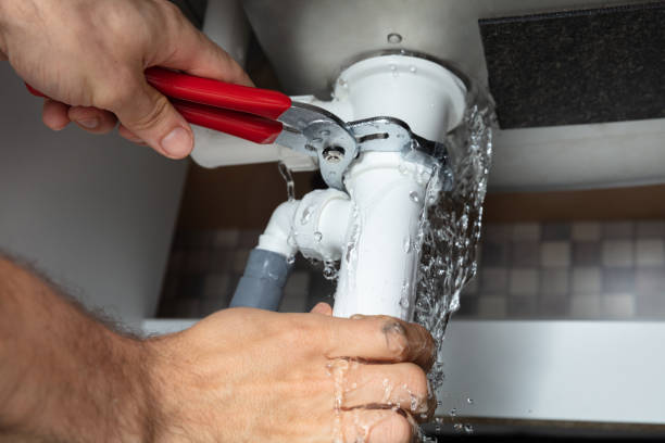 Best Local water damage restoration  in Violet, LA