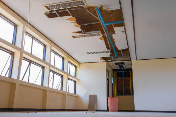 Best Flood restoration services  in Violet, LA