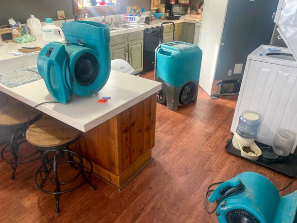 Best Professional water damage repair  in Violet, LA