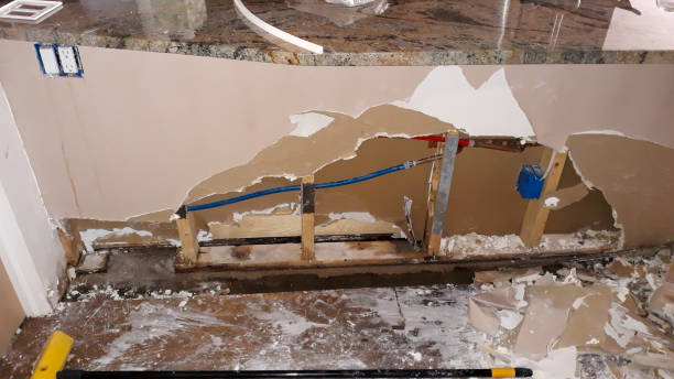 Best Basement water damage restoration  in Violet, LA