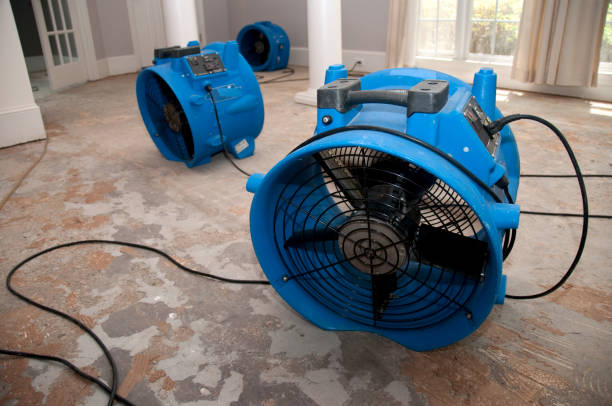 Best Ceiling water damage repair  in Violet, LA