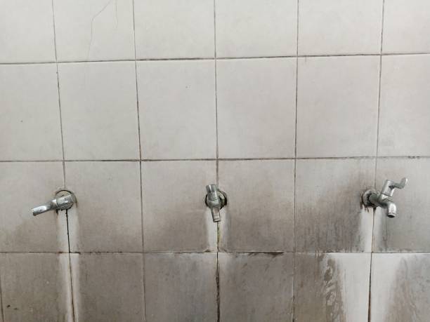 Best Water damage contractors near me  in Violet, LA