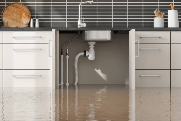Best Basement water damage restoration  in Violet, LA