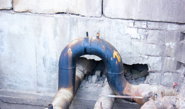 Best Water damage restoration near me  in Violet, LA