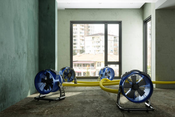 Best Residential water damage restoration  in Violet, LA